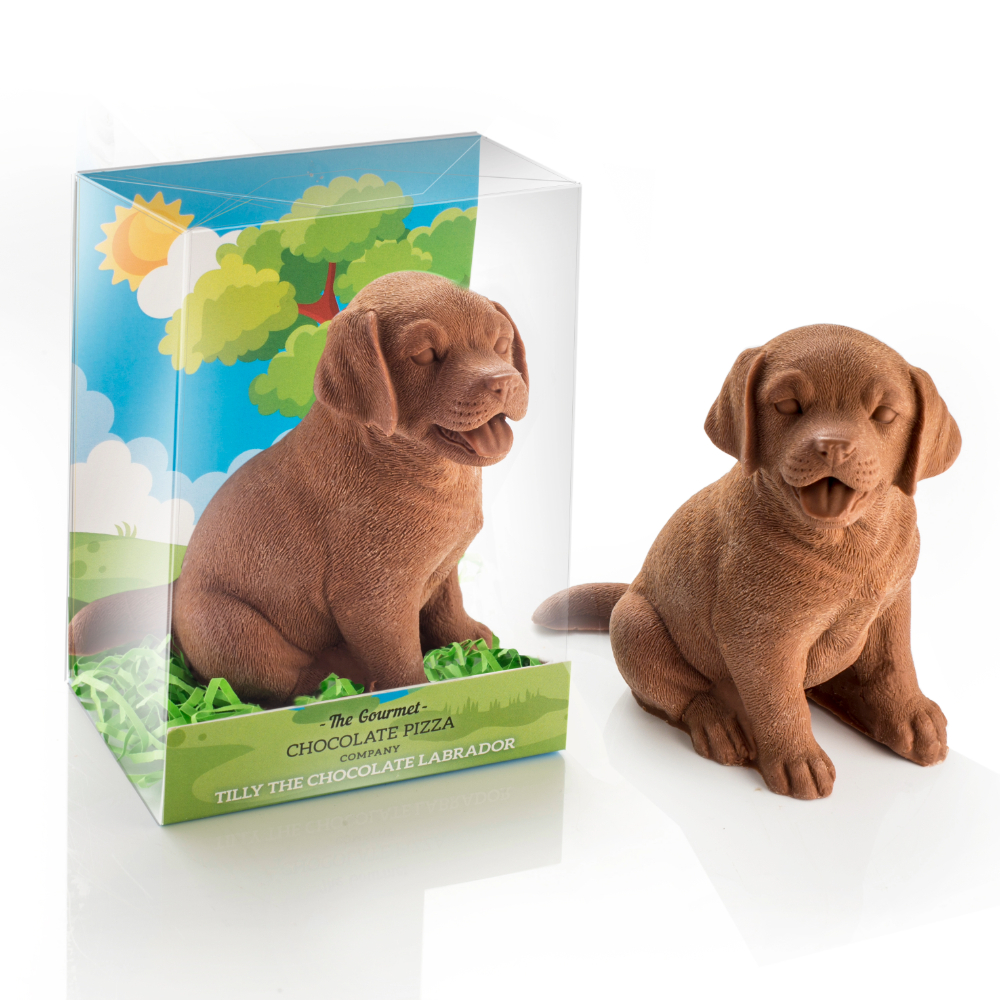 Panting belgian milk chocolate labrador, shown inside and outside of packaging.